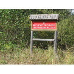 Rezerwat przyrody 