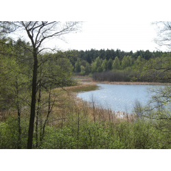 Jezioro Kownackie (Mrówieckie)