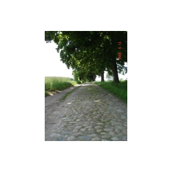 Rezerwaty