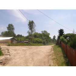 Leśniki