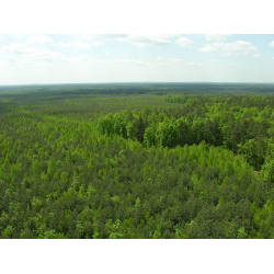 Park Krajobrazowy 