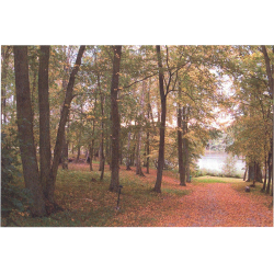 Park w Bieniaszach