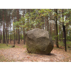 Pomnik przyrody nieożywionej – głaz narzutowy „Diabelski Kamień” 