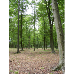 Rezerwat 