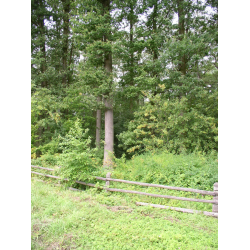 Rezerwat 