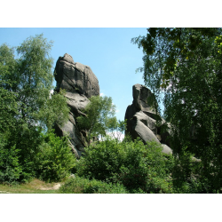 Rezerwat przyrody 