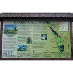 Torfowisko Całowanie   