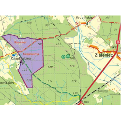 Czaplowizna
