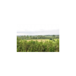 Panorama nadwiślańska