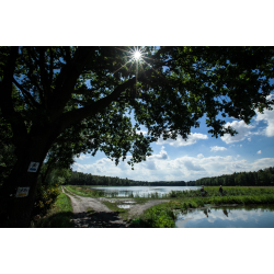 Pojezierze Palowickie (Palowice)