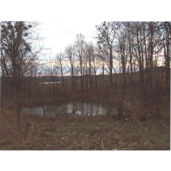 Park w Książniku