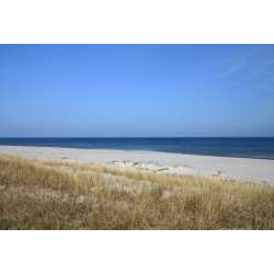 Plaża w Lubiatowie