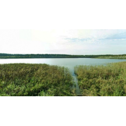 Rezerwat Trzy Jeziora (J. Brudno, J. Płotycze)