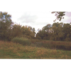 Park w Ponarach