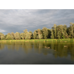 Sobiborski Park Krajobrazowy
