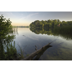 Wielkopolski Park Narodowy