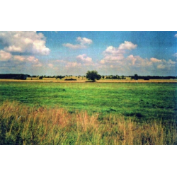 Bogactwo przyrody 