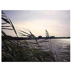 Jezioro Orle