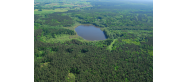 Jezioro Bolechowskie 