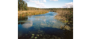 Rezerwat - 