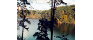 Rezerwat - Mieliwo