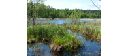 Jezioro Modre 