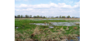 Przemkowskie Bagno