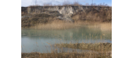 Zarastające wyrobisko iłów pod Sośnicą