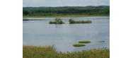 Jezioro Prosino