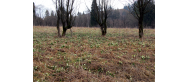 Rezerwat przyrody 