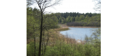 Jezioro Kownackie (Mrówieckie)