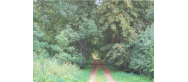 Park w Niegławkach
