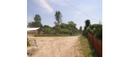 Leśniki