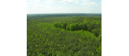 Park Krajobrazowy 