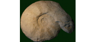 Rezerwat geologiczy 