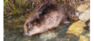EKOMUZEUM 