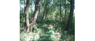 Rezerwat -