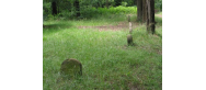 Rezerwat - 