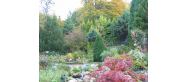 Ogród botaniczny w Gołubiu
