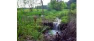 Ponory Suchej Strugi w Kolonii Lisowice