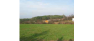 Ponurzyca   