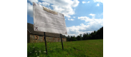 Świecino