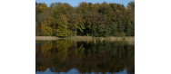 Jezioro Woświn