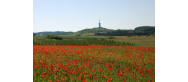 Rezerwat 
