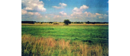 Bogactwo przyrody 