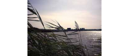 Jezioro Orle
