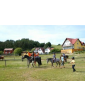 Gospodarstwo agroturystyczne
