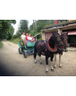 Gospodarstwo agroturystyczne
