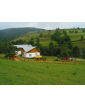 Gospodarstwo agroturystyczne