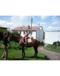 Gospodarstwo agroturystyczne